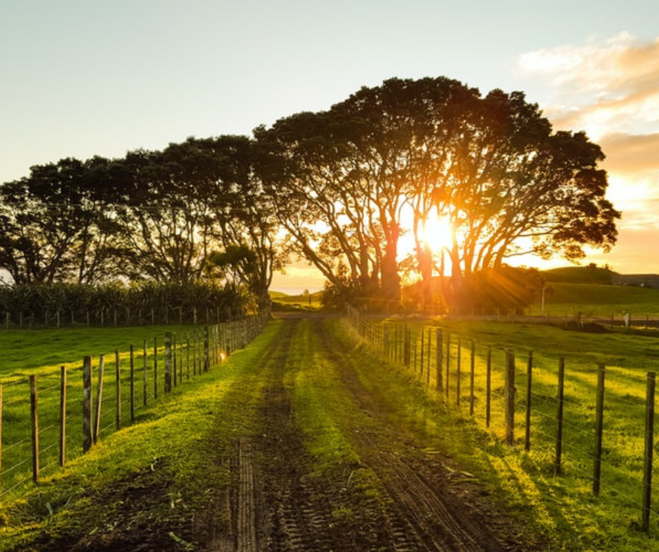 Farmer Does Finance Variable Rate Loans